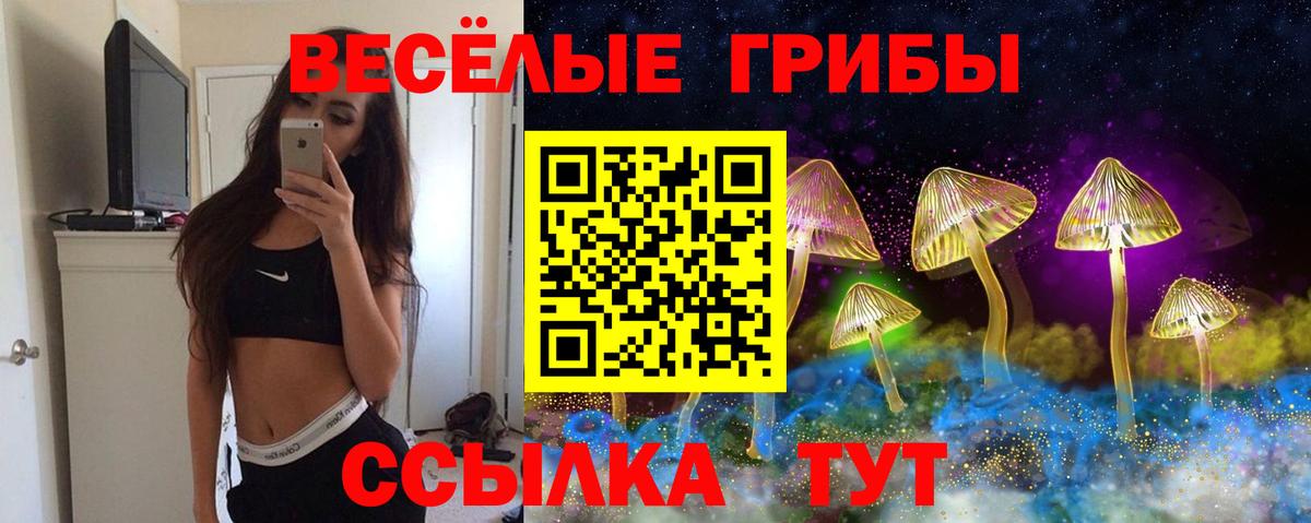 Псилоцибиновые грибы Cubensis Гудермес