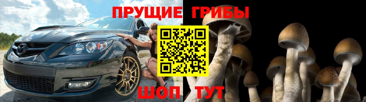 Гудермес  Галлюциногенные грибы Psilocybe  Вход с VPN 